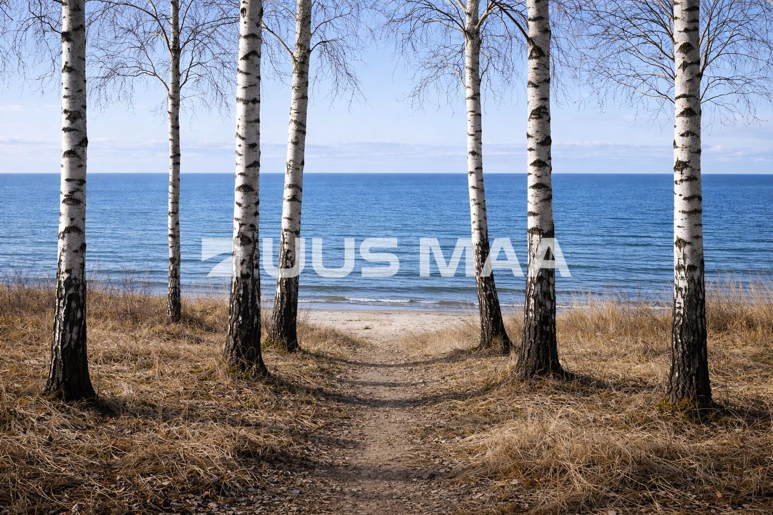 Uus Maa Pluss