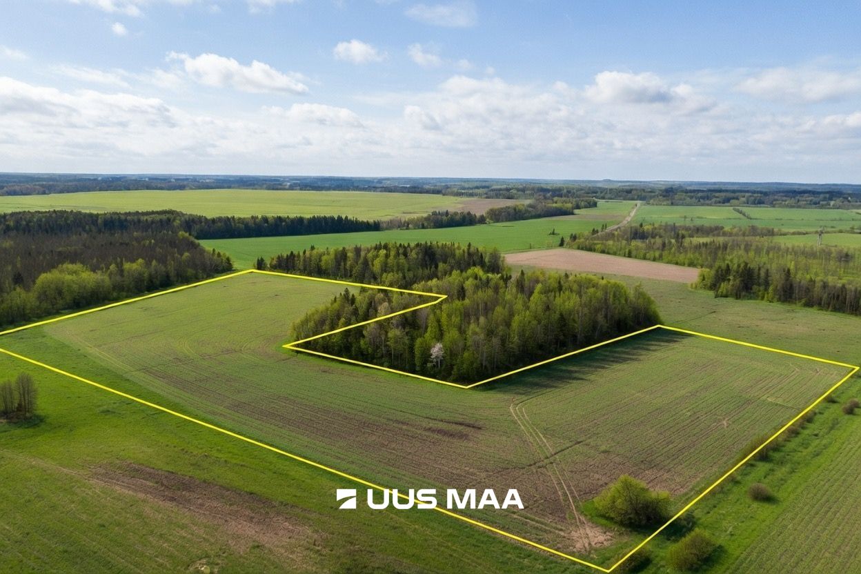 Uus Maa Pluss